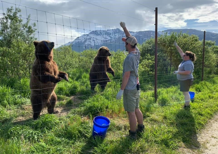 Alaska in a Glimpse tour highlight