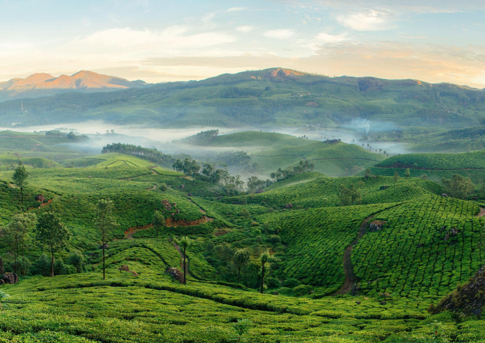 Enchanting Kerala tour highlight