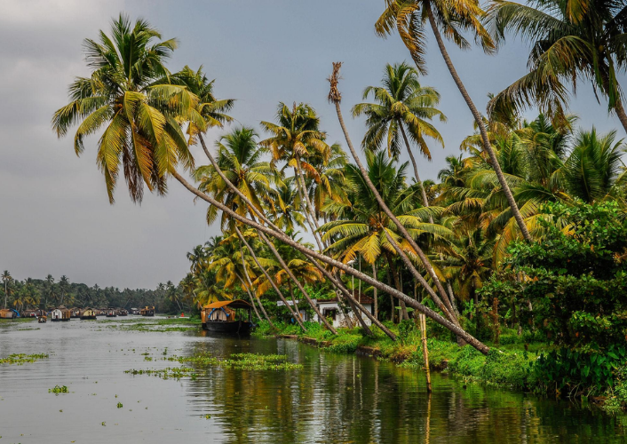 Enchanting Kerala