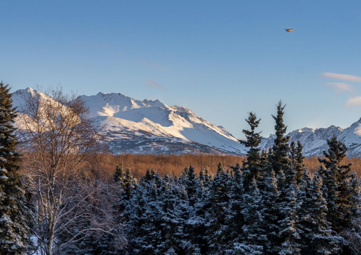 Grand Alaska Tour tour highlight
