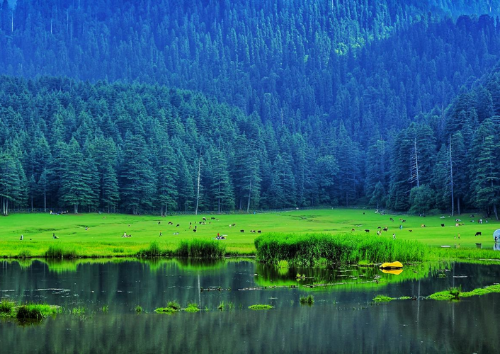 Heavenly Himachal tour highlight
