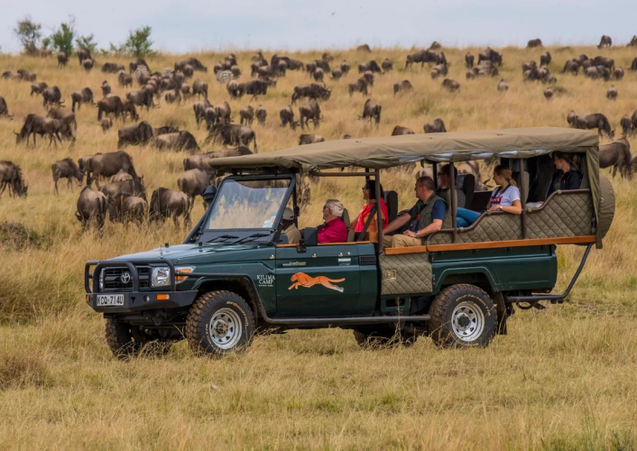 Highlights of Kenya tour highlight