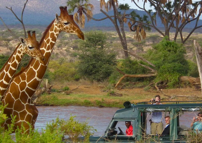 Highlights of Kenya