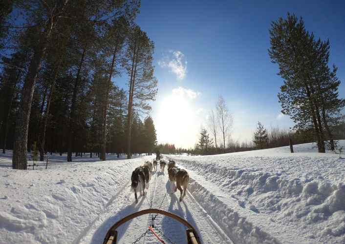 Impeccable Finland tour highlight