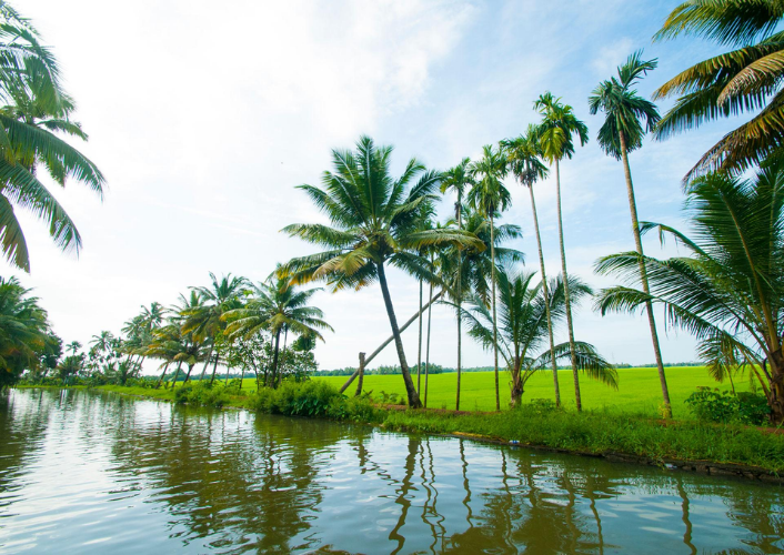 Kerala Backwaters