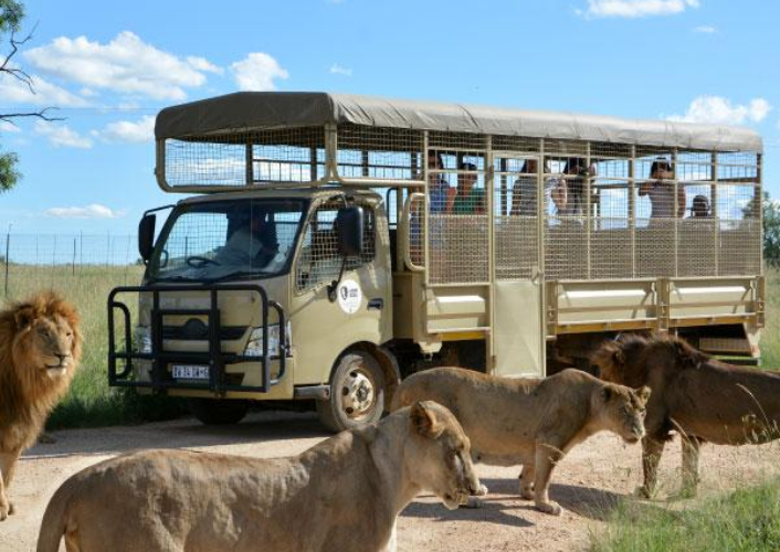 Kruger (Safari Getaways) - Mjejane River Lodge