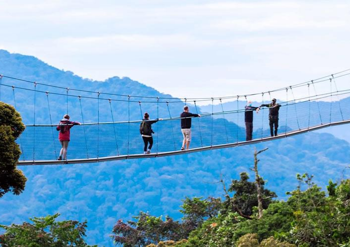 Rwanda Primate Experience