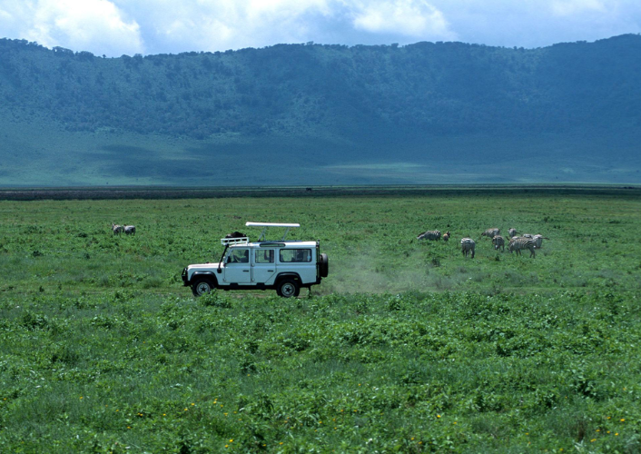 Tanzania Safari
